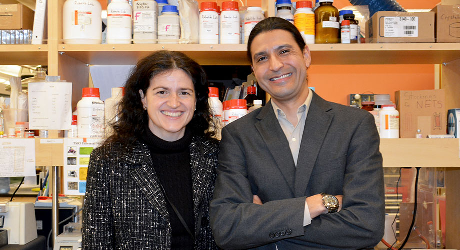 Professor Marisa Roberto (left) and Research Associate Luis A. Natividad led the new study at The Scripps Research Institute. (Photo by Madeline McCurry-Schmidt.)