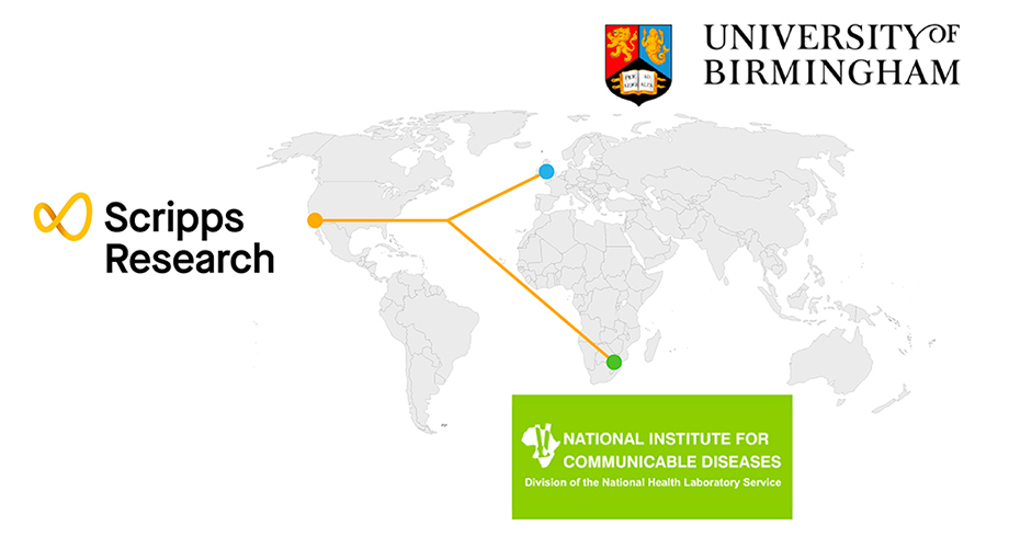 The two-year award funds a collaboration between Scripps Research, the National Institute for Communicable Disease (NICD) in South Africa, and the University of Birmingham in England. Credit: Scripps Research