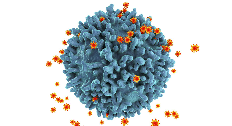 hiv virus