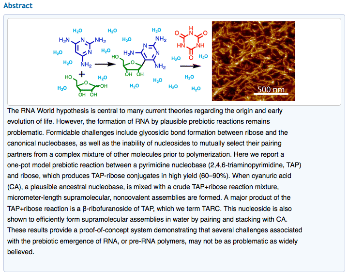 The Krishnamurthy Lab