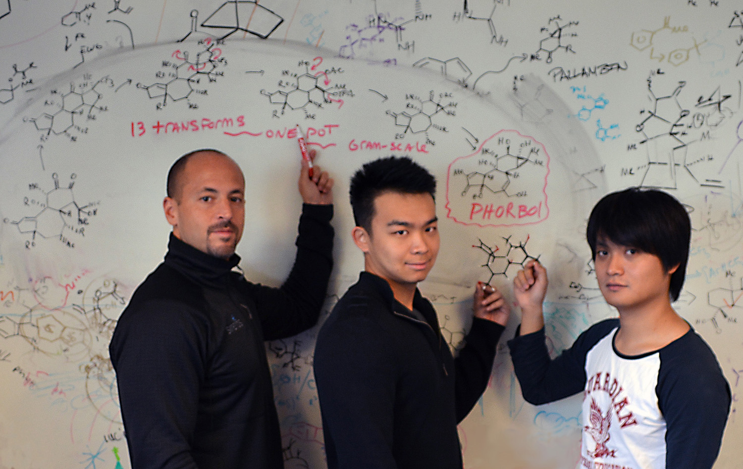 Authors of the new study included (left to right) Phil Baran, Hang Chu and Shuhei Kawamura, pictured here at a whiteboard showing the team's 19-step synthesis of phorbol, including the incorporation a dramatic cascade transformation of 13 different chemical events occurring in one flask.