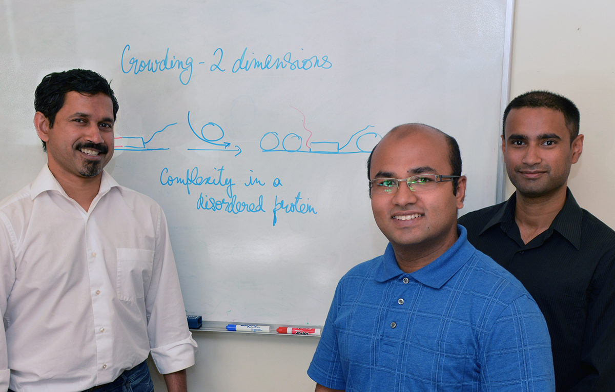 The Scripps Research Institute's Ashok Deniz, Mahdi Muhammad Moosa and Priya Banerjee (left to right) were authors of the new study, which was designated as a "hot paper" by</em> Angewandte Chemie<em>.