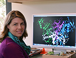 The Scripps Research Institute’s Professor Erica Ollmann Saphire is leading the new effort against Ebola.