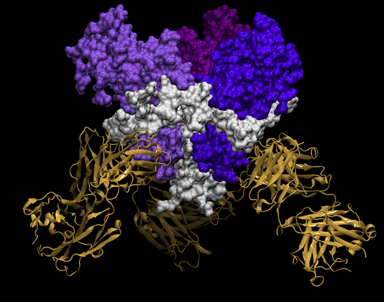 sudan_virus