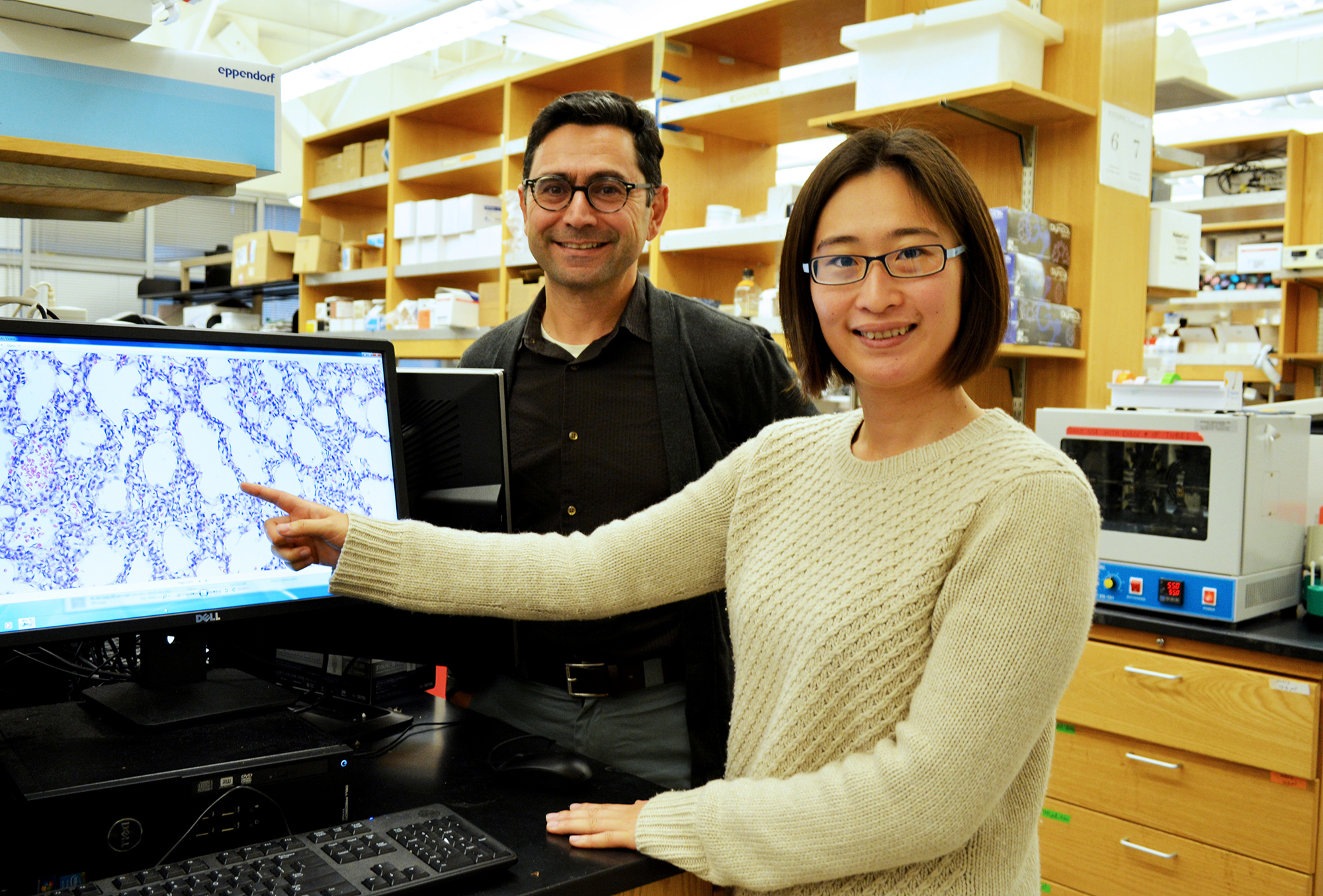 Research Associate Keiko Nonomura (right) points to mouse lung tissue imaged in the new study, led by TSRI Professor Ardem Patapoutian (left). (Photo by Madeline McCurry-Schmidt.)