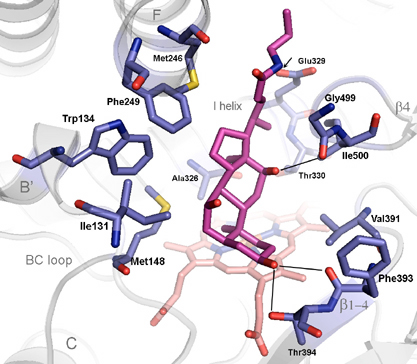 figure1