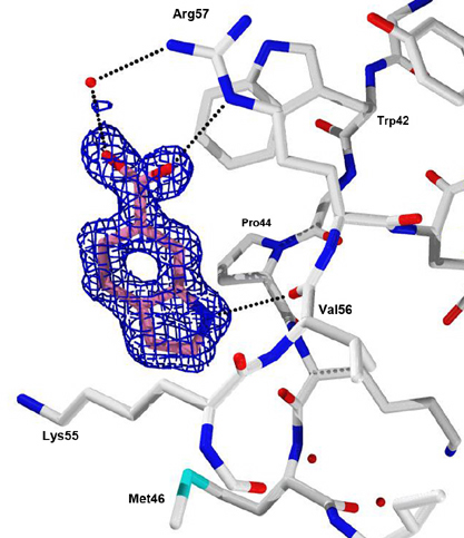 fig2