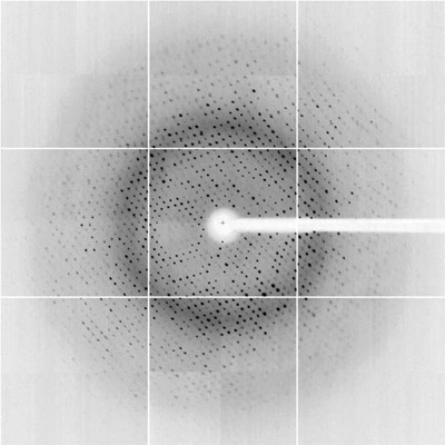 Diffraction Image